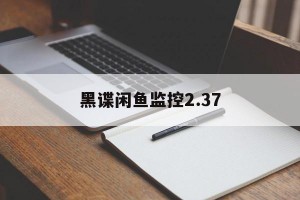 雨点监控闲鱼秒拍软件闲鱼监控软件钉钉推送强聊秒下单软件黑谍闲鱼新宝贝监控程序