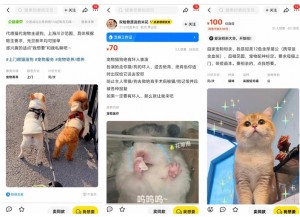 雨点监控闲鱼秒拍软件闲鱼监控软件钉钉推送强聊秒下单软件闲鱼10天自动确认收货