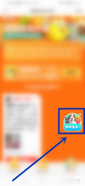 雨点监控闲鱼秒拍软件闲鱼监控软件钉钉推送强聊秒下单软件闲鱼交易宠物安全吗