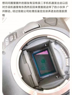 雨点监控闲鱼秒拍软件闲鱼监控软件钉钉推送强聊秒下单软件闲鱼怎么设置专拍页面