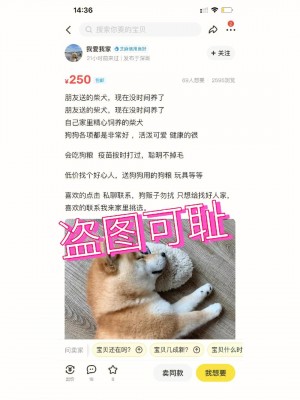 雨点监控闲鱼秒拍软件闲鱼监控软件钉钉推送强聊秒下单软件闲鱼监控宠物视频在哪找出来