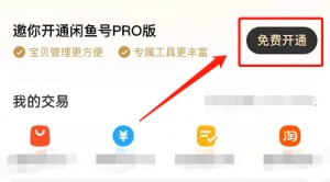 闲鱼秒拍怎么开通的商品雨点闲鱼秒拍软件雨点闲鱼监控软件钉钉推送强聊秒下单软件闲鱼秒拍怎么开通的商品