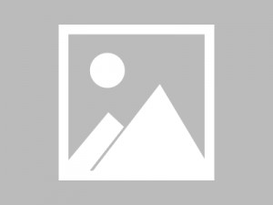 雨点监控闲鱼秒拍软件闲鱼监控软件钉钉推送强聊秒下单软件闲鱼电脑秒拍怎么弄的