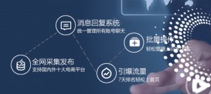 雨点监控闲鱼秒拍软件闲鱼监控软件钉钉推送强聊秒下单软件闲鱼采集软件