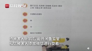 雨点监控闲鱼秒拍软件闲鱼监控软件钉钉推送强聊秒下单软件闲鱼为什么有那么多手机要卖