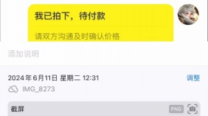 雨点监控闲鱼秒拍软件闲鱼监控软件钉钉推送强聊秒下单软件闲鱼卖鞋被换