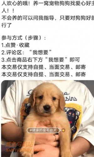 雨点监控闲鱼秒拍软件闲鱼监控软件钉钉推送强聊秒下单软件闲鱼监控宠物平价可靠吗