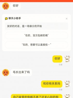 雨点监控闲鱼秒拍软件闲鱼监控软件钉钉推送强聊秒下单软件闲鱼买家贩子秒拍什么意思