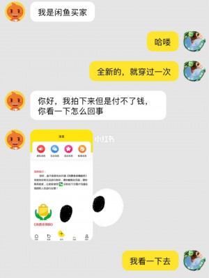雨点监控闲鱼秒拍软件闲鱼监控软件钉钉推送强聊秒下单软件闲鱼上刚发布就被秒了