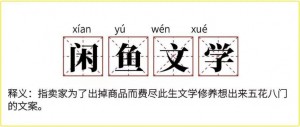 雨点监控闲鱼秒拍软件闲鱼监控软件钉钉推送强聊秒下单软件闲鱼宠物用品