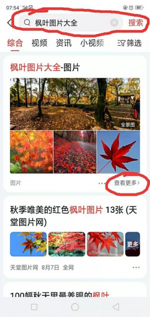 雨点监控闲鱼秒拍软件闲鱼监控软件钉钉推送强聊秒下单软件闲鱼秒拍怎么回放链接视频教程
