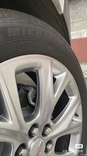 雨点监控闲鱼秒拍软件闲鱼监控软件钉钉推送强聊秒下单软件闲鱼上卖轮胎的