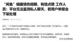 雨点监控闲鱼秒拍软件闲鱼监控软件钉钉推送强聊秒下单软件闲鱼拍东西显示审核中