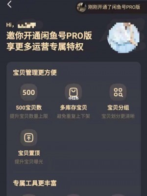 雨点监控闲鱼秒拍软件闲鱼监控软件钉钉推送强聊秒下单软件闲鱼视频30秒