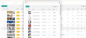雨点监控闲鱼秒拍软件闲鱼监控软件钉钉推送强聊秒下单软件闲鱼低价监控软件下载