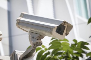 雨点监控闲鱼秒拍软件闲鱼监控软件钉钉推送强聊秒下单软件闲鱼买家拍下了,卖家可以不卖吗