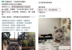 雨点监控闲鱼秒拍软件闲鱼监控软件钉钉推送强聊秒下单软件闲鱼监控宠物怎么看的到呢