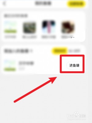 雨点监控闲鱼秒拍软件闲鱼监控软件钉钉推送强聊秒下单软件飞鸟闲鱼抢拍软件