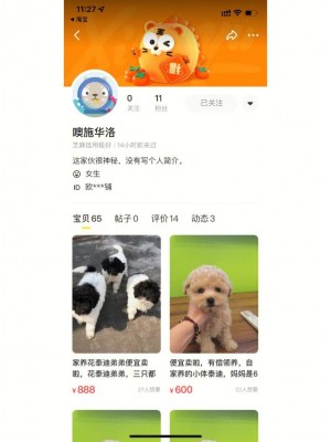 雨点监控闲鱼秒拍软件闲鱼监控软件钉钉推送强聊秒下单软件闲鱼自动拍货都有什么软件
