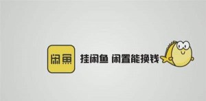 雨点监控闲鱼秒拍软件闲鱼监控软件钉钉推送强聊秒下单软件闲鱼手机秒拍