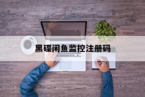 雨点监控闲鱼秒拍软件闲鱼监控软件钉钉推送强聊秒下单软件摄像头账号密码分享吧