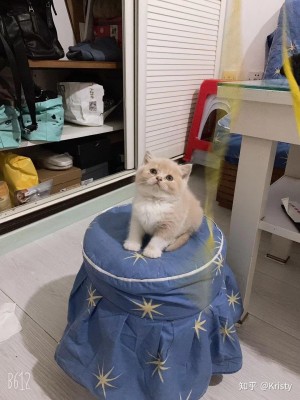 雨点监控闲鱼秒拍软件闲鱼监控软件钉钉推送强聊秒下单软件宠物监控软件