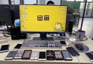 雨点监控闲鱼秒拍软件闲鱼监控软件钉钉推送强聊秒下单软件闲鱼监控助手2018下载安装